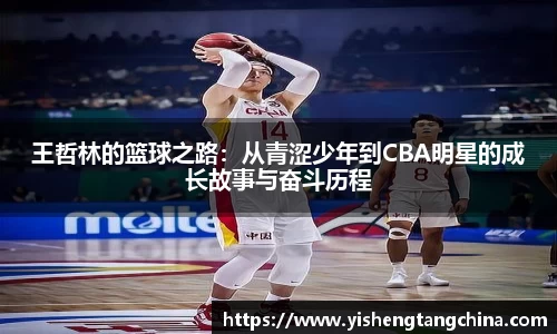 王哲林的篮球之路：从青涩少年到CBA明星的成长故事与奋斗历程